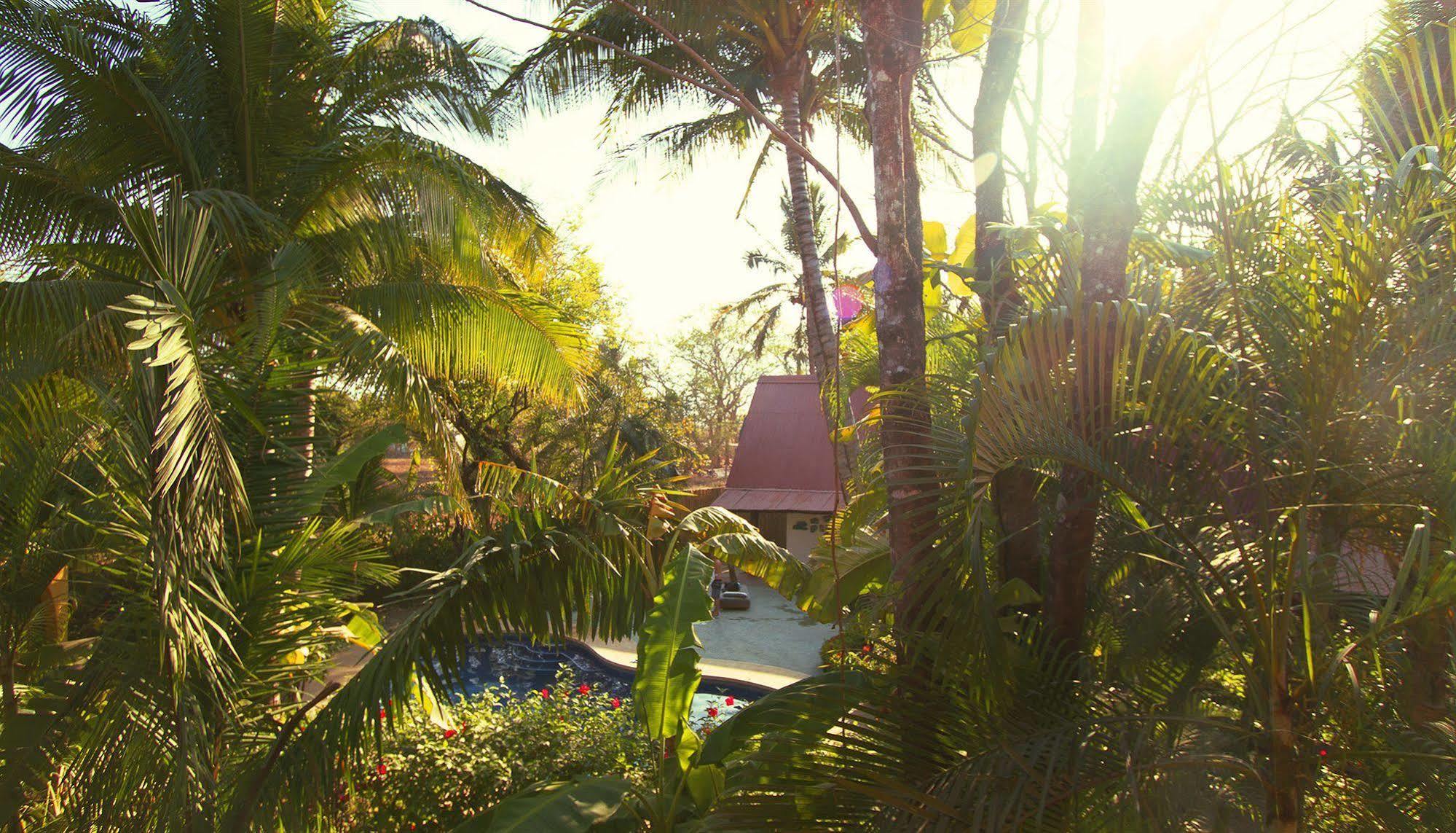 The Sunset Shack Hotel Nosara Exterior foto