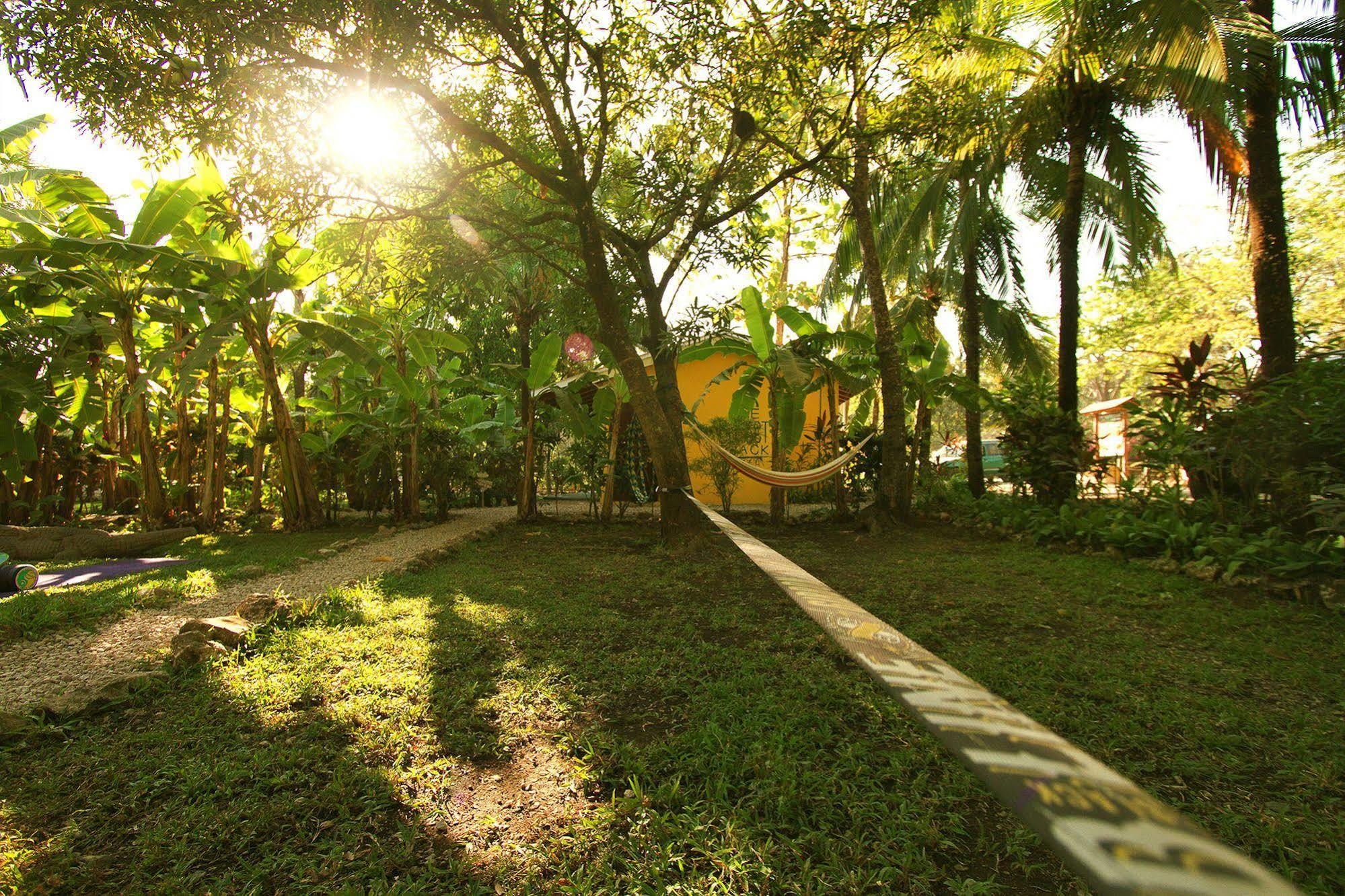 The Sunset Shack Hotel Nosara Exterior foto